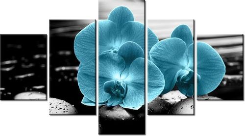 75CM 120 OBRAZ 5 ELEM STORCZYK KAMIENIE ŚCIENNY DRUK na Arena.pl