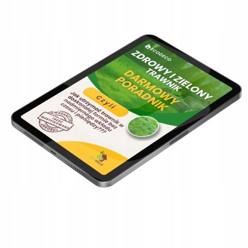 Trawa Nasiona Uniwersalna 5kg na Tereny Suche Trawnik 200m2 Mieszanka Traw na Arena.pl