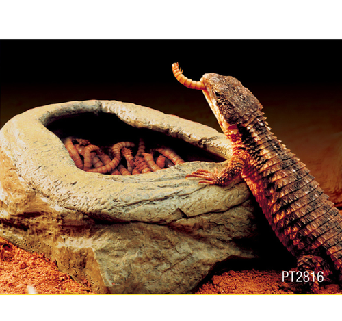 TERRA NATURA Miska na żywy pokarm robaki mączniki terrarium gadów płazów na Arena.pl