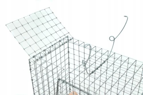 żywołapka pułapka lisy kuny wydry bobry koty skuteczna na Arena.pl