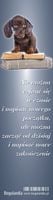 Zakładka 7 do książki - Nie można cofnąć się w czasie i napisać nowego początku