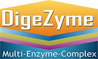 ENZYMY TRAWIENNE COMPLEX DIGEZYME 100 kaps LAKTAZA MOCNE na Arena.pl