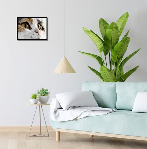 Plakat 40x30cm Nitkowany Kot na Arena.pl