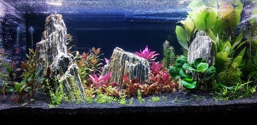 Czarny Piasek Żwirek do Akwarium Naturalny Doskonały dla Roślin 24kg 2-3mm na Arena.pl