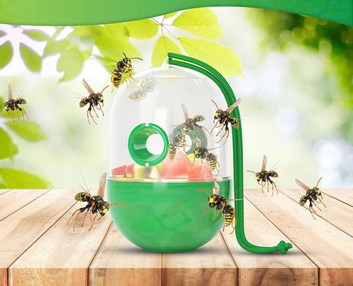PUŁAPKA NA OSY OWADY 2SZT/KPL WABIĄCA MUCHY na Arena.pl