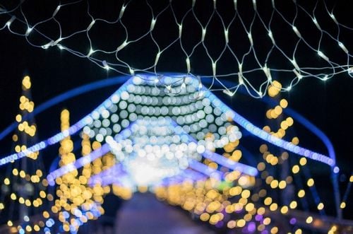 SIATKA LED 3 m x 2 m BIAŁA CIEPŁA na TARAS KRZEWY BALKON Oświetlenie Święta na Arena.pl