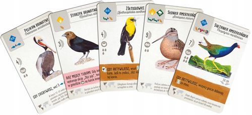 Gra planszowa Rebel Na skrzydłach na Arena.pl