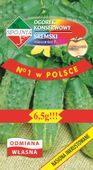 NASIONA Ogórek Gruntowy Śremski F1 Mieszaniec 6,5g SPÓJNIA 400274