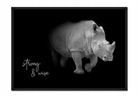 OBRAZ PLAKAT W RAMIE 53x73 cm Zwierzeta P623