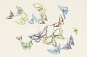 Plakat 60x40cm Butterfly 5, Sekka Japoński Vintage do Salonu