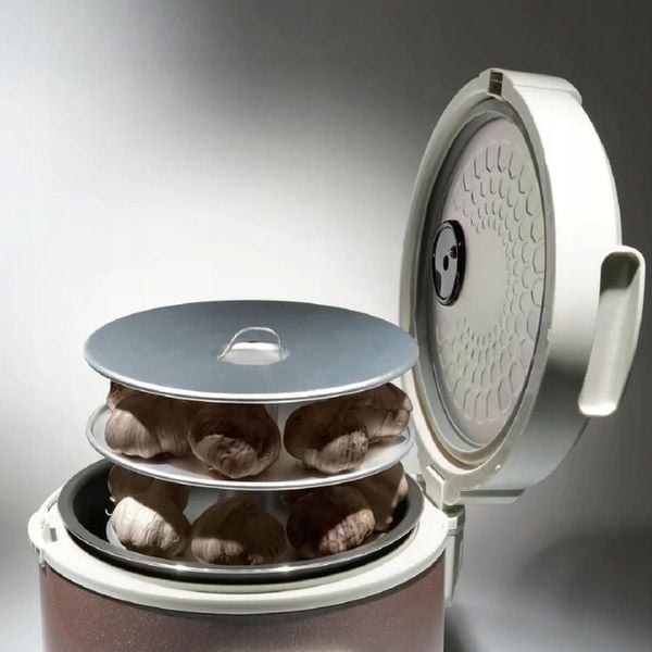 GARNEK DO FERMENTACJI CZARNEGO CZOSNKU TIROSS 5L TS904 zdjęcie 14