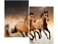 80X70CM STADO KONI DUO OBRAZ