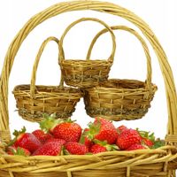 KOSZYCZKI WIKLINOWE 3 SZT OZDOBNE DO OGRODU NA OWOCE DO ZBIERANIA KWIATÓW