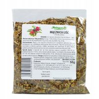 Mącznica Liść Herbapol 50g