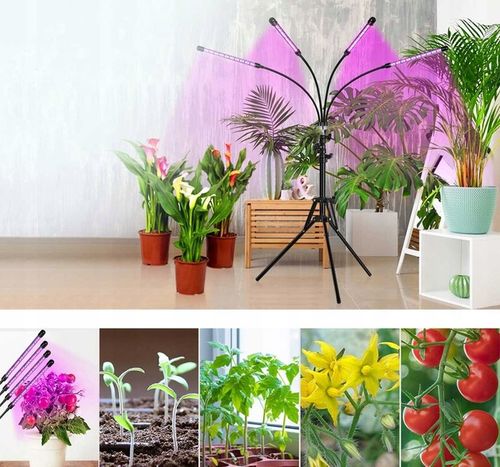 4x LAMPA PANEL DO WZROSTU UPRAWY ROŚLIN FULL SPECTRUM TIMER USB 36W 80 na Arena.pl