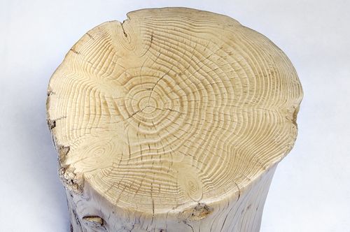 Stołek STUMP, pień drewna na Arena.pl