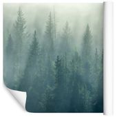 Fototapeta Mglisty Las NATURA do Salonu 3D 368cm x 254cm