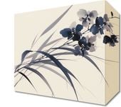 Obraz 20x20cm Orchidea w Sepii
