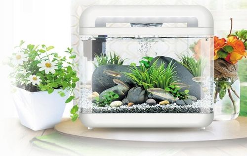 INVITAL EasyTank CASCADE LED 7 litrów czarny na Arena.pl