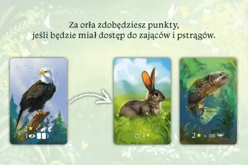 Ekosystem zdjęcie 12