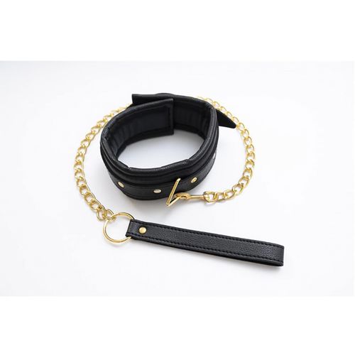 collar with detachable leash na Arena.pl
