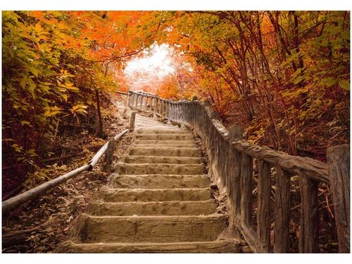 100 70CM OBRAZ PŁÓTNO JESIENNY SPACER PŁÓTNO RAMA na Arena.pl