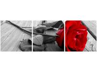 OBRAZ RED ROSE