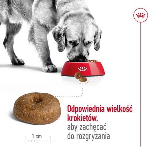 royal canin maxi ageing 8+ 15kg na Arena.pl