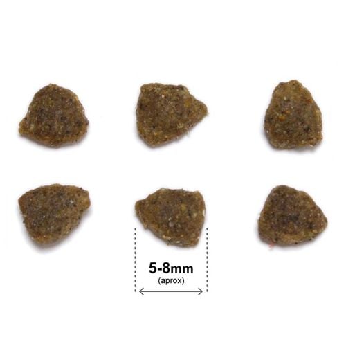 ARQUIVET CAT Original Kitten dla kociąt z kurczakiem 1,5 kg na Arena.pl