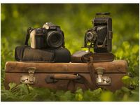 50X70CM SPOTKANIE PO LATACH OBRAZ POKOJU DREWNINE