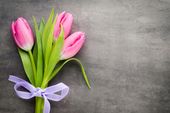 FOTOTAPETA TULIPANY BUKIET SZAROŚĆ