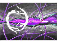 60CM 40CM ZEGAR OBRAZ POSTACIE TAŃCU DRUK PŁÓTNO RAMA