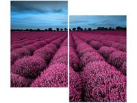 product-compare-58667114