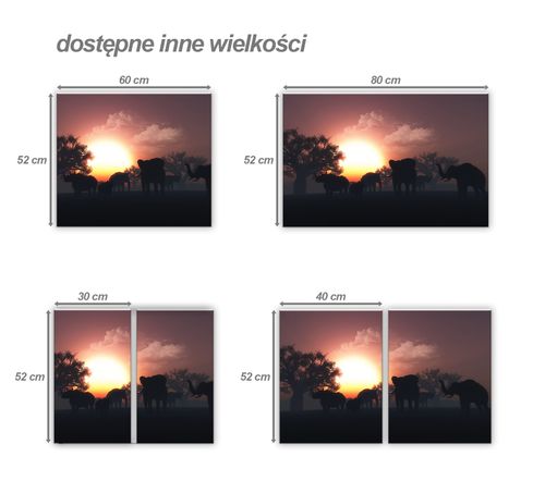 SZKLANA DESKA NA KUCHENKĘ 60x52 066A SŁONIE na Arena.pl