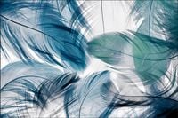 Tło fotograficzne Produktowe FLAT LAT Kulinarne