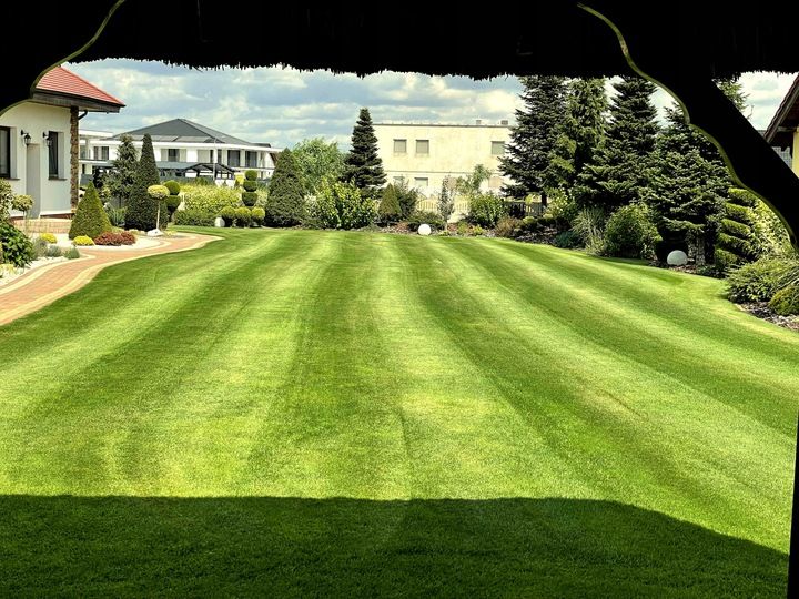 Nawóz do trawy do trawników na lato MAGGROW 20 kg zdjęcie 2