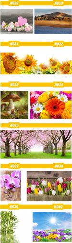 FOTOTAPETA rosliny KWIATY róże DUŻY WYBÓR WZORÓW na Arena.pl