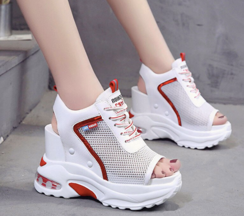 Buty Damskie -  GLADIATOR - Nowa KOLEKCJA na Arena.pl