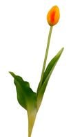 TULIPANY SILIKONOWE jak ŻYWE 38 cm TULIPAN SILIKONOWY POMARAŃCZOWY