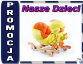 Grajaca kaczka na biegunach