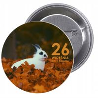 Przypinki buttony DZIEŃ KRÓLIKA znaczki badziki