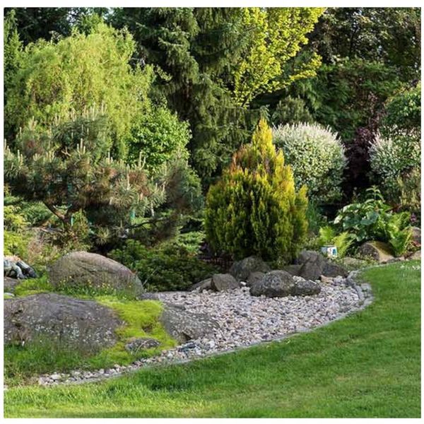 NAWÓZ DO TUI I CYPRYSÓW 5 KG AGRECOL IGLAKÓW CIS zdjęcie 3