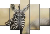 105CM 150CM OBRAZ 5 ELEM ZEBRA DRUK