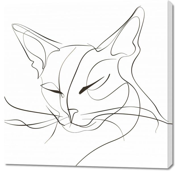 Obraz 100x100cm Linijny Kot zdjęcie 1