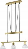 Lampa wisząca Trio Levisto 3 -punkty światła E14