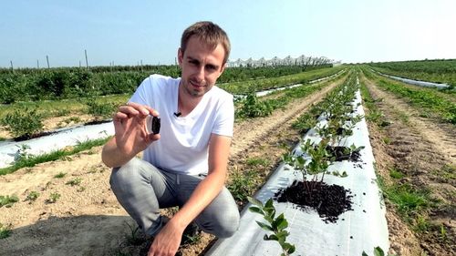 Ściółka z węgla brunatnego CARBOMAT ECO 20 L (pH 4,5 - 5,0) na Arena.pl