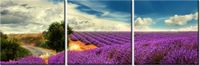90 80CM OBRAZ T3 ELEM LAWENDOWY KRAJOBRAZ DRUK ŚCIENNY