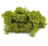 SZTUCZNY MECH CHROBOTEK DEKORACYJNY RENIFEROWY ZIELONY DO STROIKÓW 30g