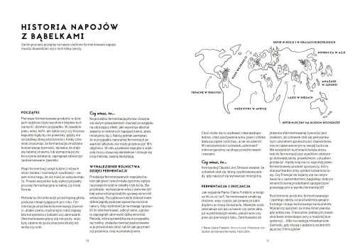 Kombucza, kefir i spółka. Fermentowane napoje z całego świata na Arena.pl