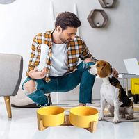 Miska Dla Psa Kota Podwójna Ceramiczna 2 X 400Ml